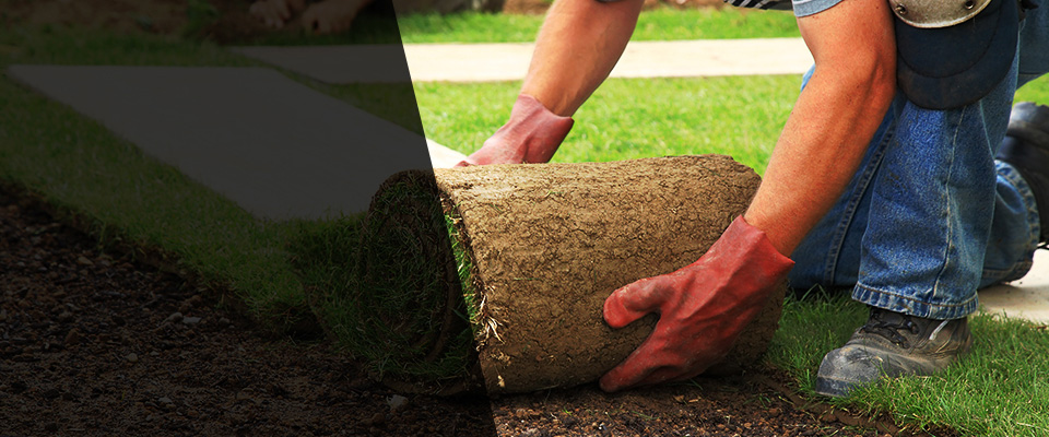 New Castle Landscapers